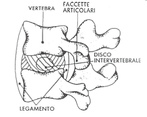 Questa immagine ha l'attributo alt vuoto; il nome del file è image-32.png